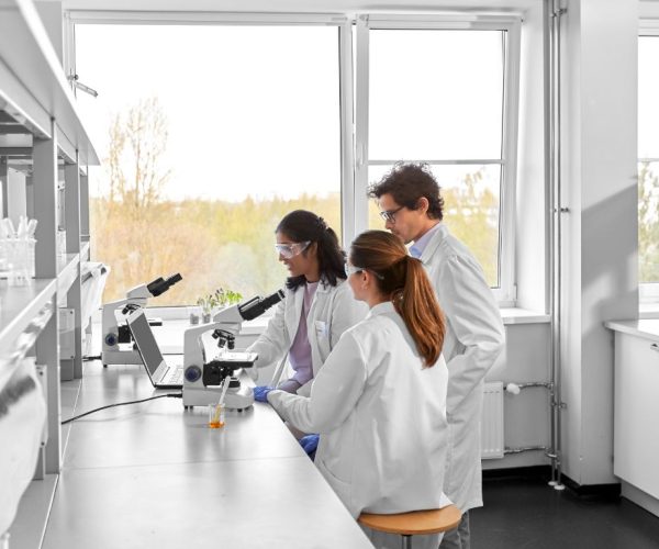 Vinted For Laboratories